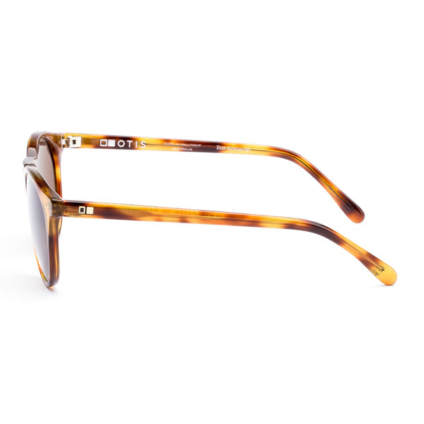 OMAR Eco Havana Zinnia / L.I.T. Brown Polar